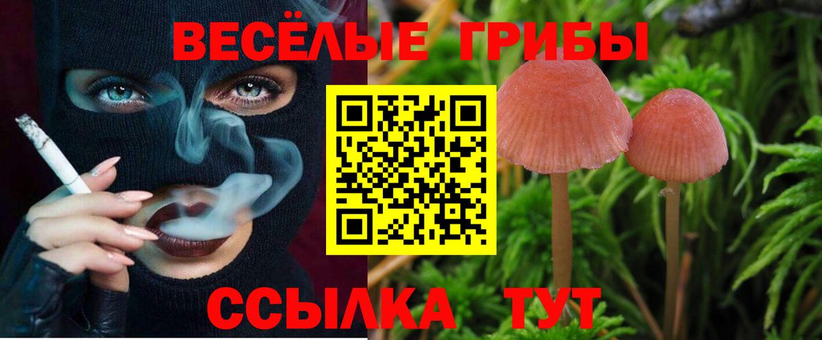Псилоцибиновые грибы MAGIC MUSHROOMS Чайковский